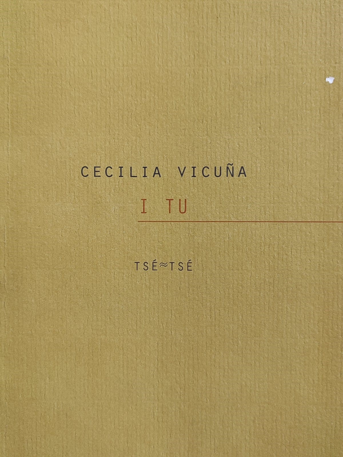 Cecilia Vicuña	i tu 