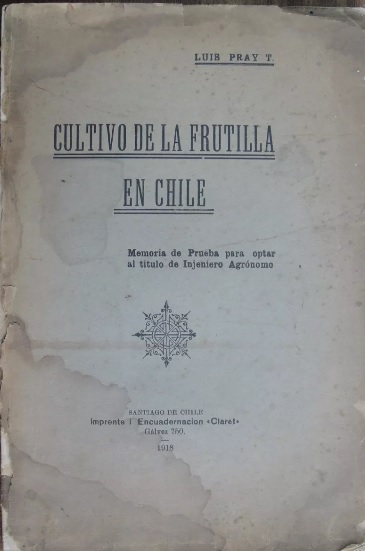 Luis Pray T. Cultivo de la frutilla en Chile : memoria de prueba 