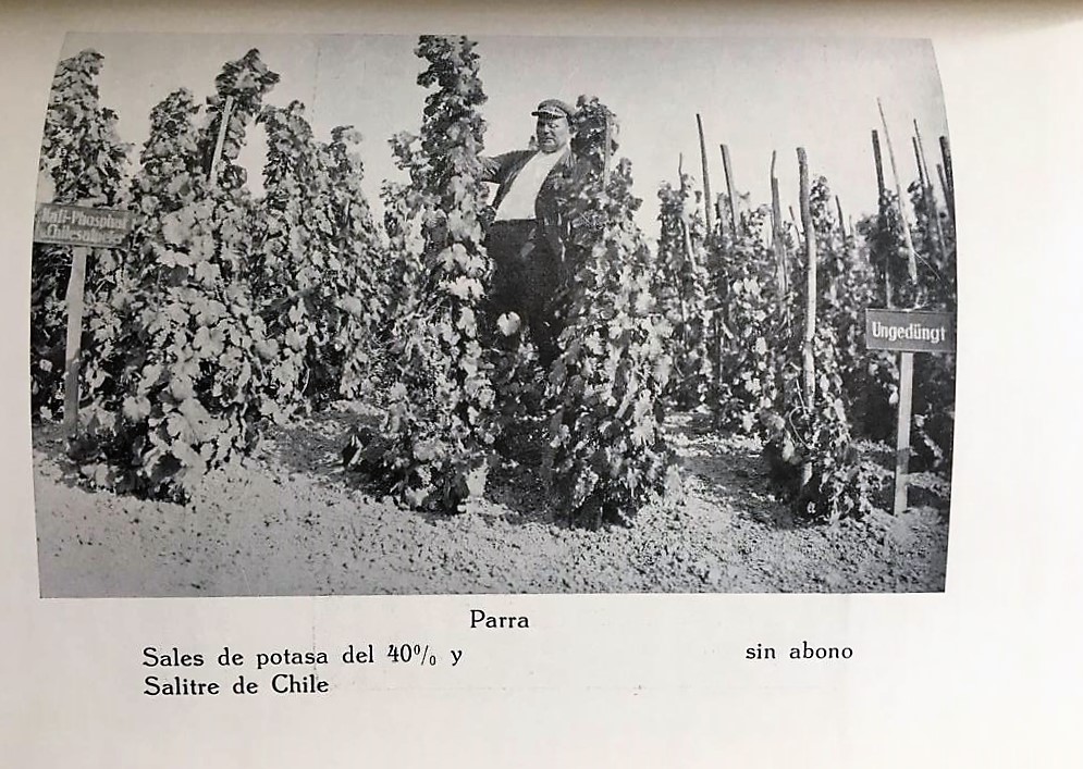 La industria del salitre y el salitre como abono. 