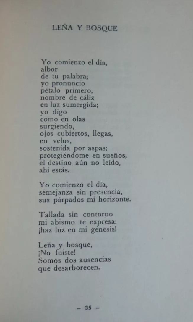 Juan Mesquida Bueno. La Aparecida (poemas). La queda del cumpleaños