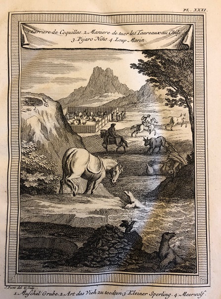 George Juan y Antonio Ulloa. Voyage historique de l'Amerique Meridionale fait par ordre du Roi d'Espagne par don George Juan