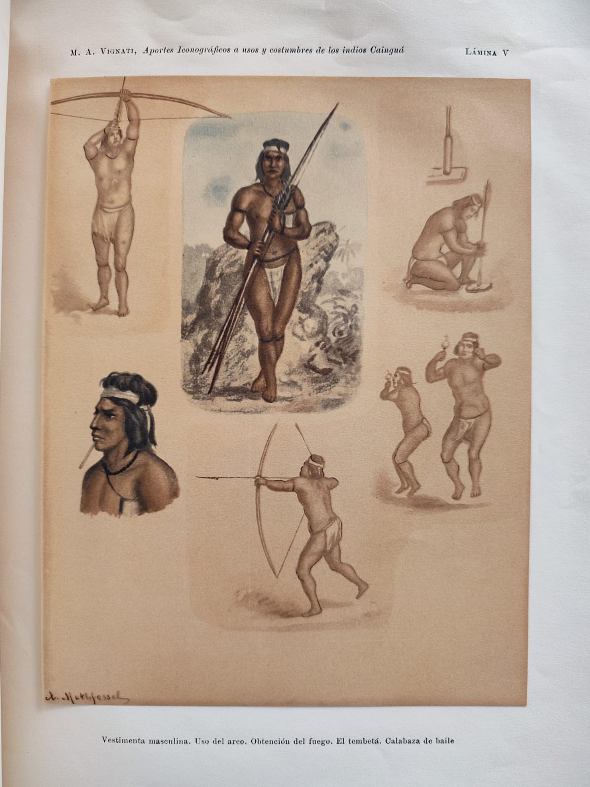 Milcíades Alejo. Anales del Museo de la Ciudad de Eva Perón, Sección Antropología N°2. Aportes iconográficos a usos y costumbres  de los indios Caingua. 