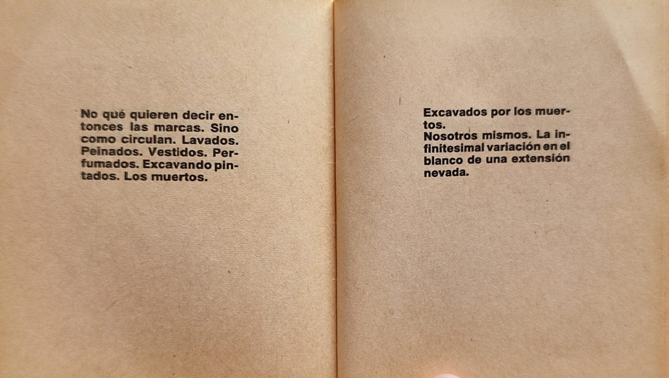 Eugenio Dittbornn	Envío de Eugenio Dittborn a la 5ta Bienal de Sydney: Un día entero de mi vida 