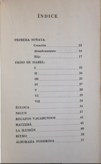 David Rosenmann Taub. Los surcos inundados