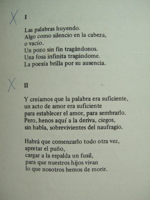 El 100topiés. Año 1, n°1