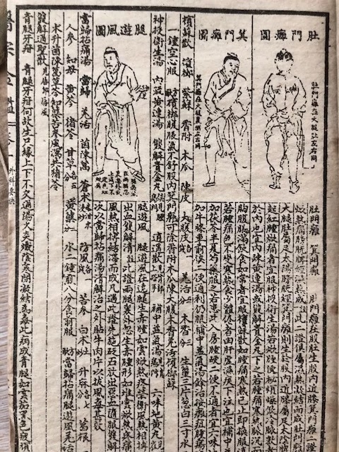 10 antiguos libros de acupuntura chilena con ilustraciones. Siglo 19.