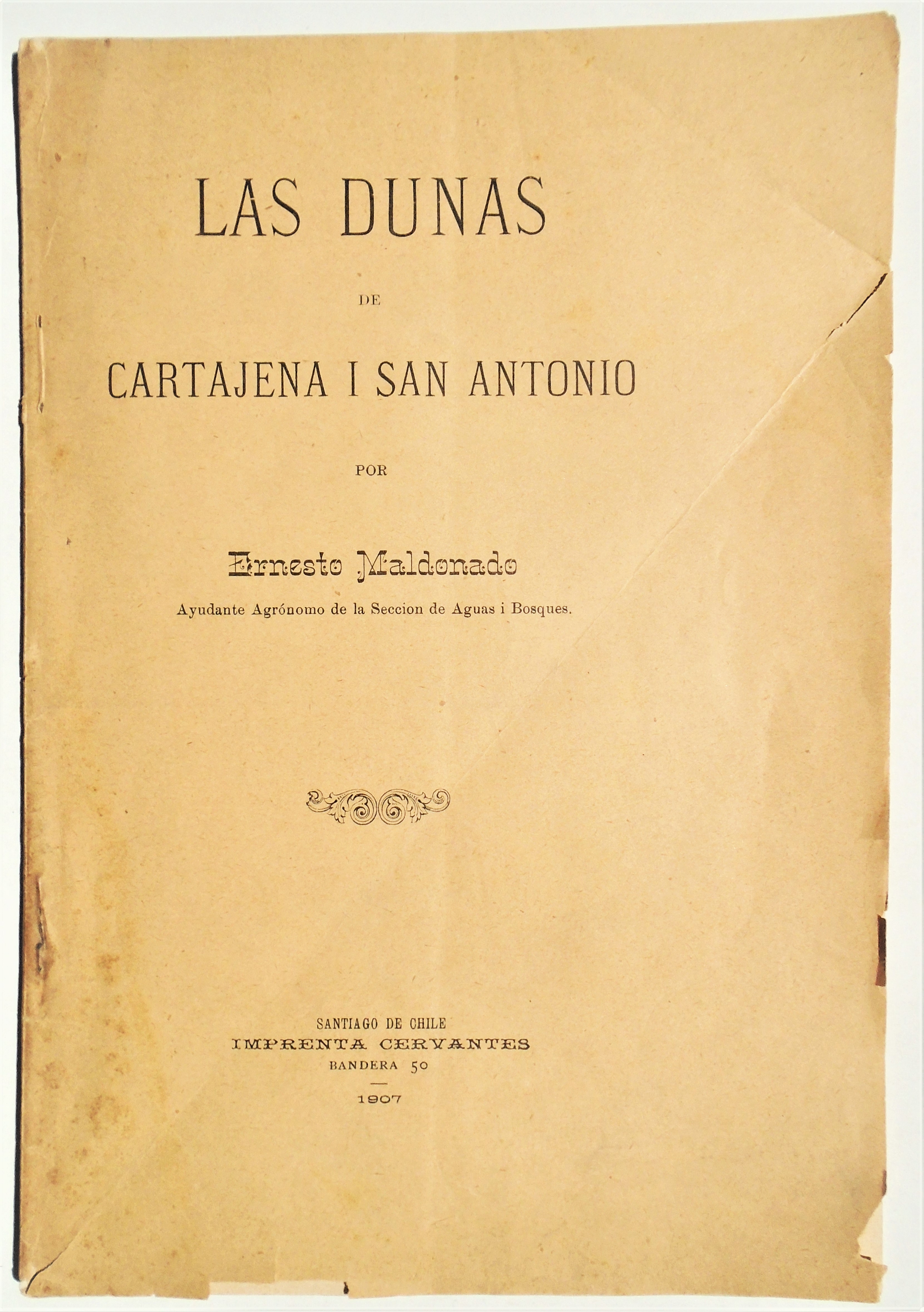 Ernesto Maldonado - Las dunas de Cartajena i San Antonio