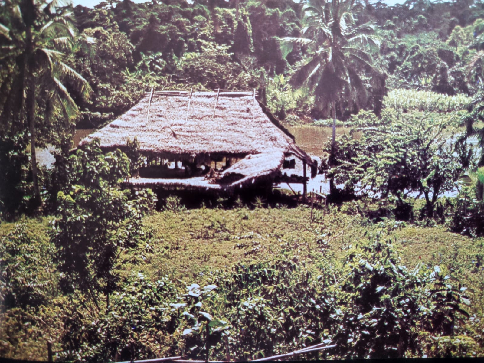 Erwin Patzelt	Hijos de la Selva Ecuatoriana 