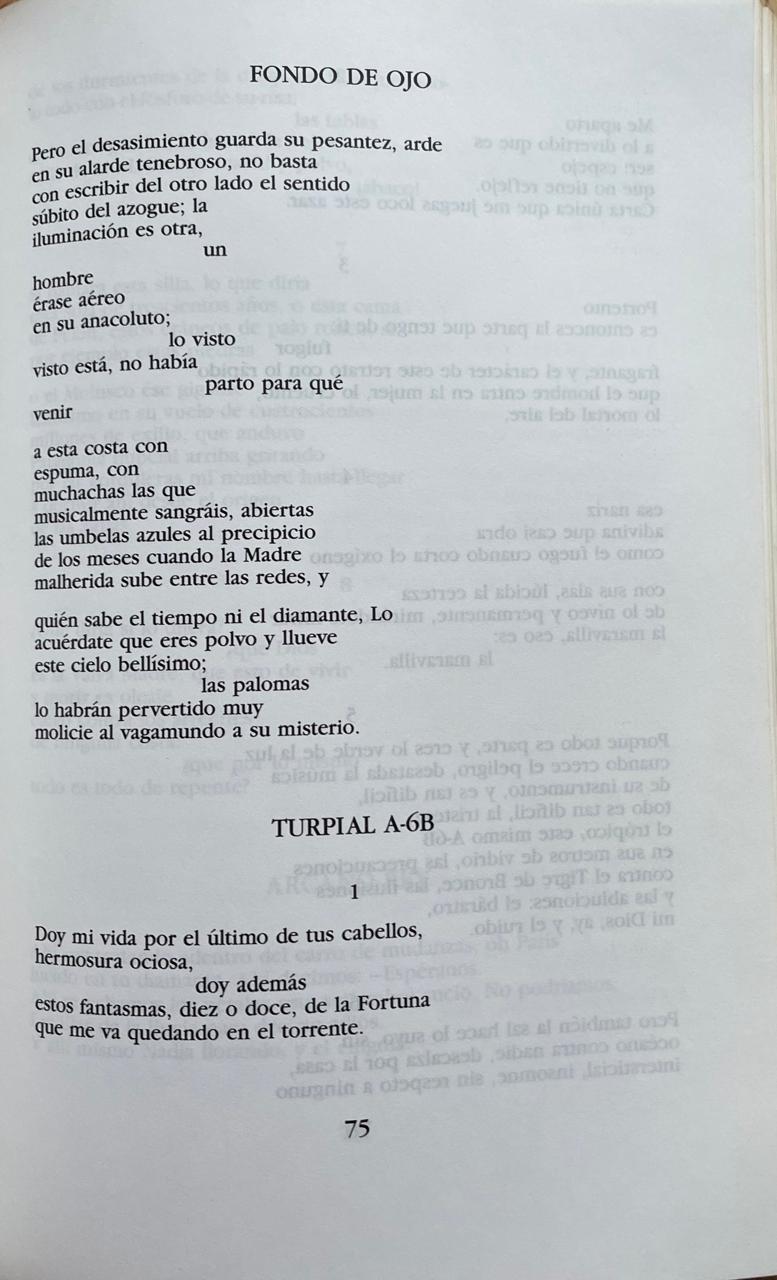 Gonzalo Rojas	Gonzalo Rojas. Obra selecta