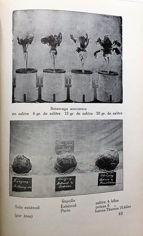 La industria del salitre y el salitre como abono. 