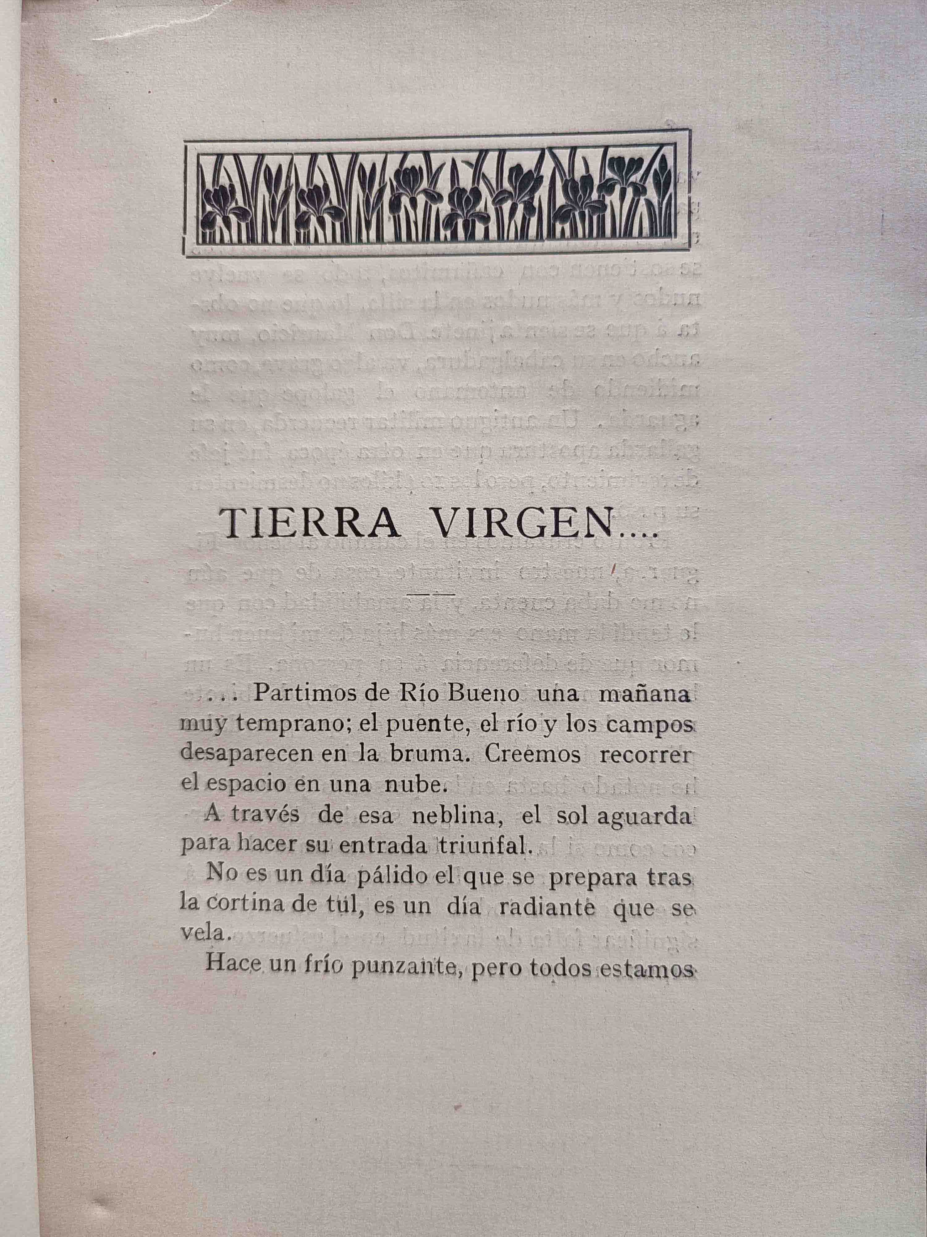 Iris 	Tierra Virgen 