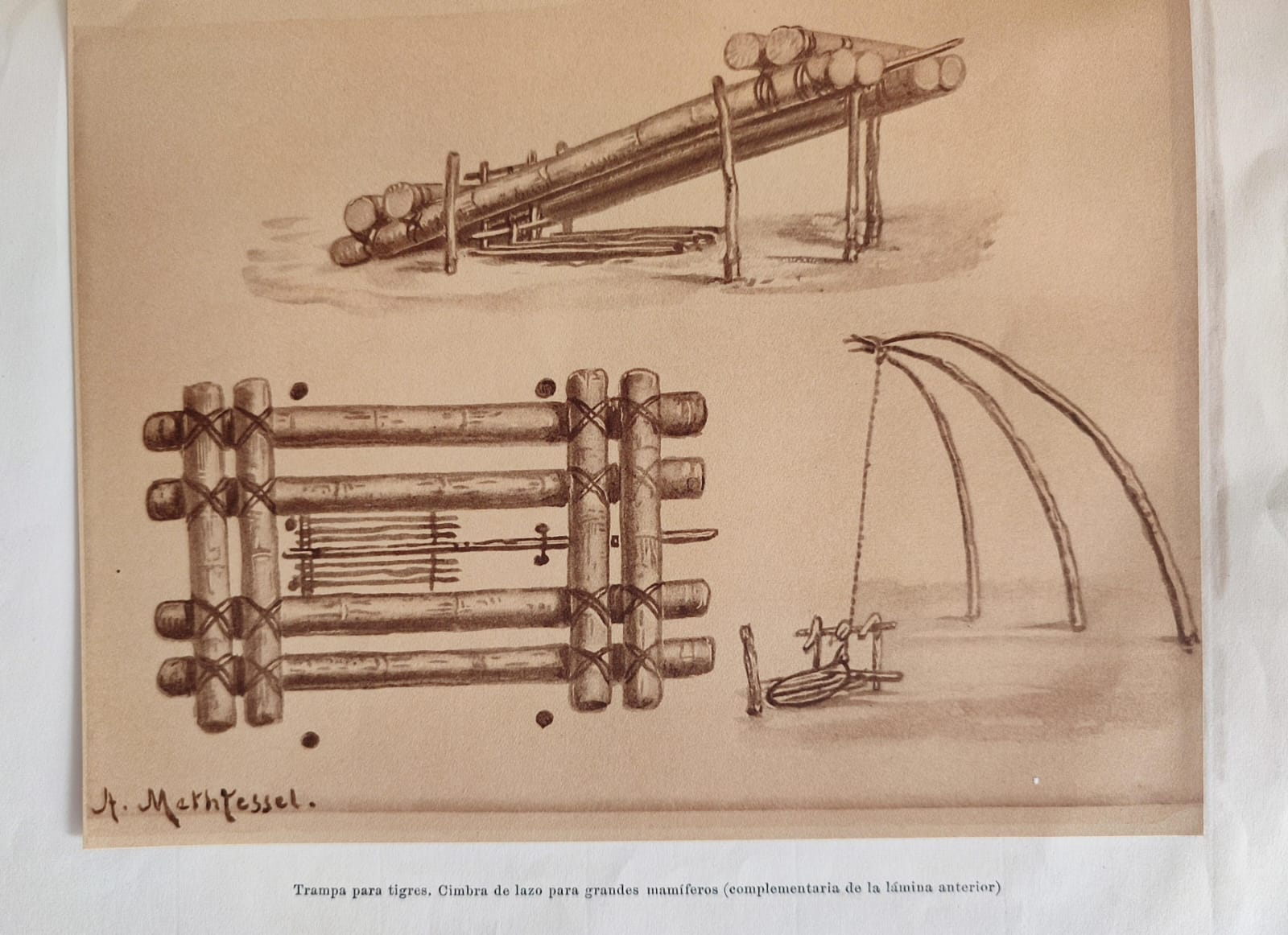 Milcíades Alejo. Anales del Museo de la Ciudad de Eva Perón, Sección Antropología N°2. Aportes iconográficos a usos y costumbres  de los indios Caingua. 