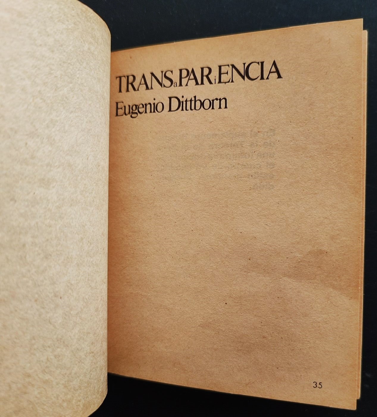 Eugenio Dittbornn	Envío de Eugenio Dittborn a la 5ta Bienal de Sydney: Un día entero de mi vida 