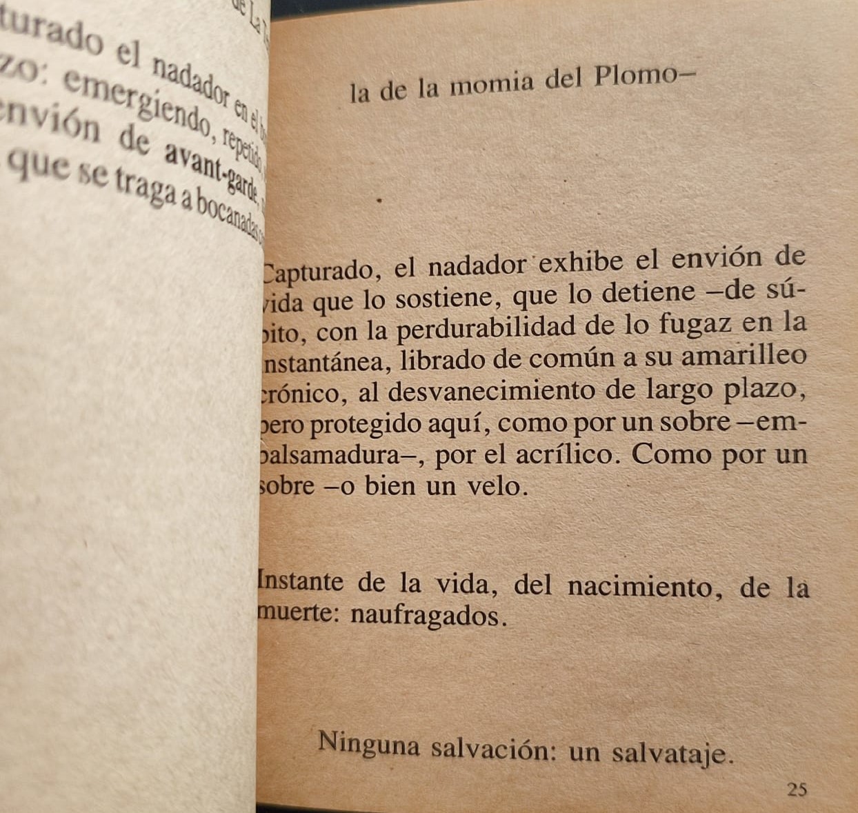 Eugenio Dittbornn	Envío de Eugenio Dittborn a la 5ta Bienal de Sydney: Un día entero de mi vida 