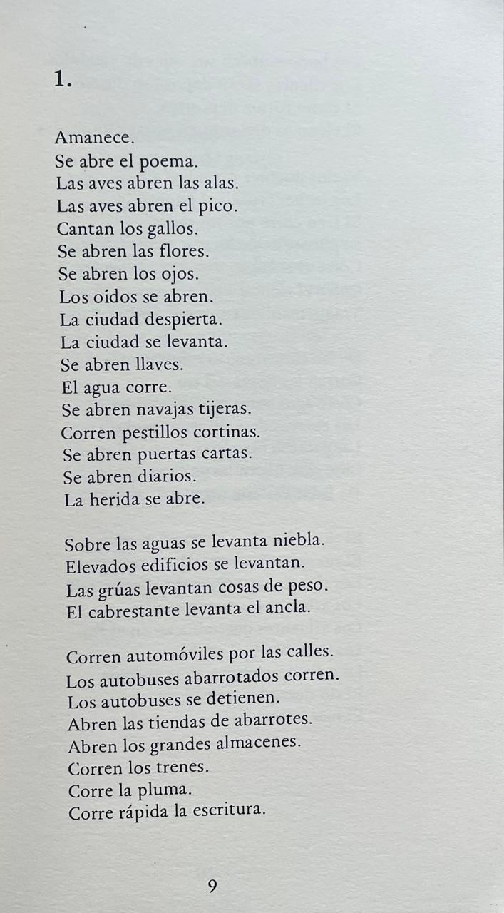 Gonzalo Millán. La ciudad