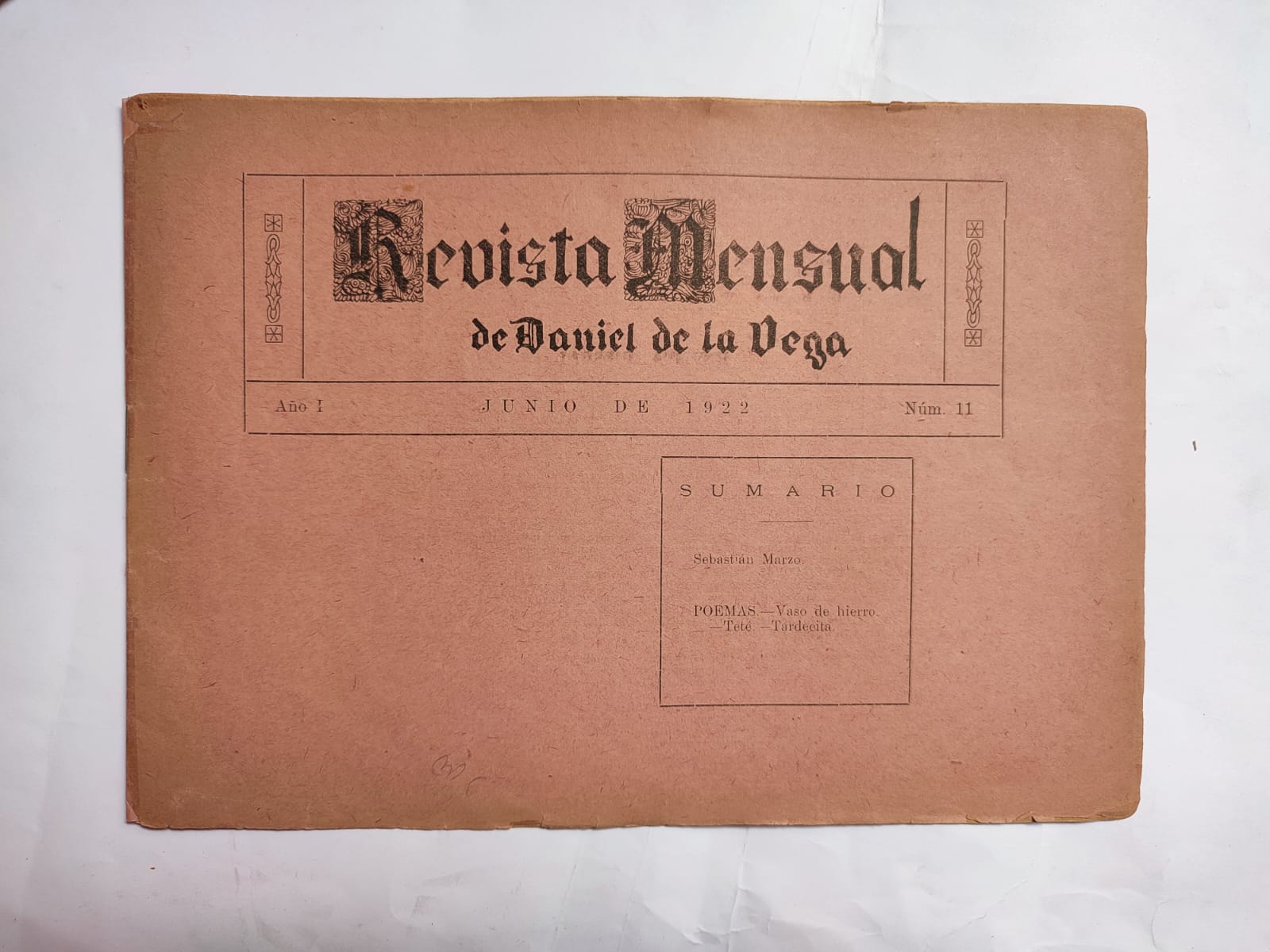 Revista Mensual de Daniel de la Vega. 