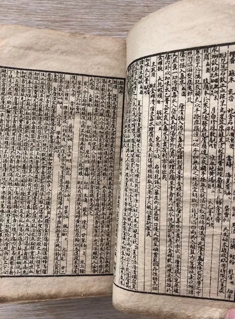 10 antiguos libros de acupuntura chilena con ilustraciones. Siglo 19.