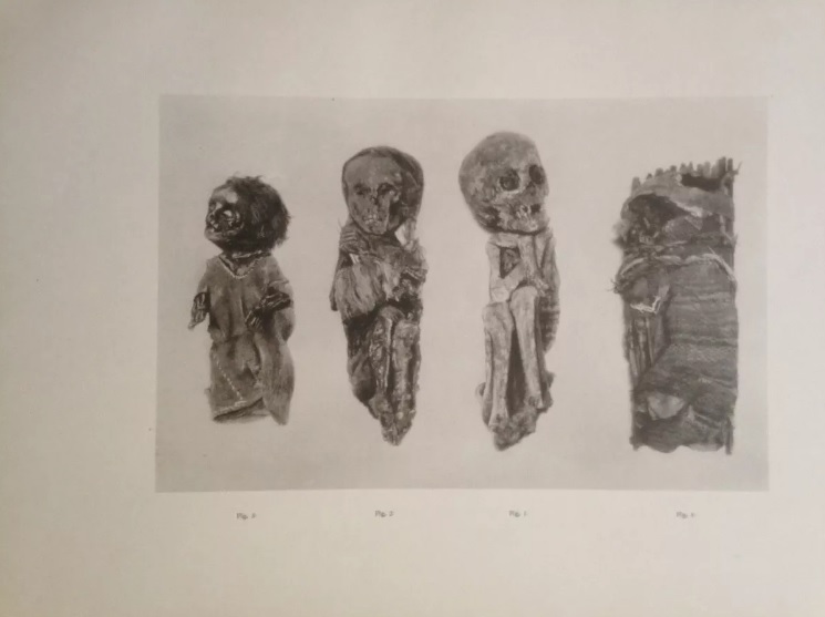Arthur Baessler. Peruanische mumien; untersuchungen mit X-strahlen