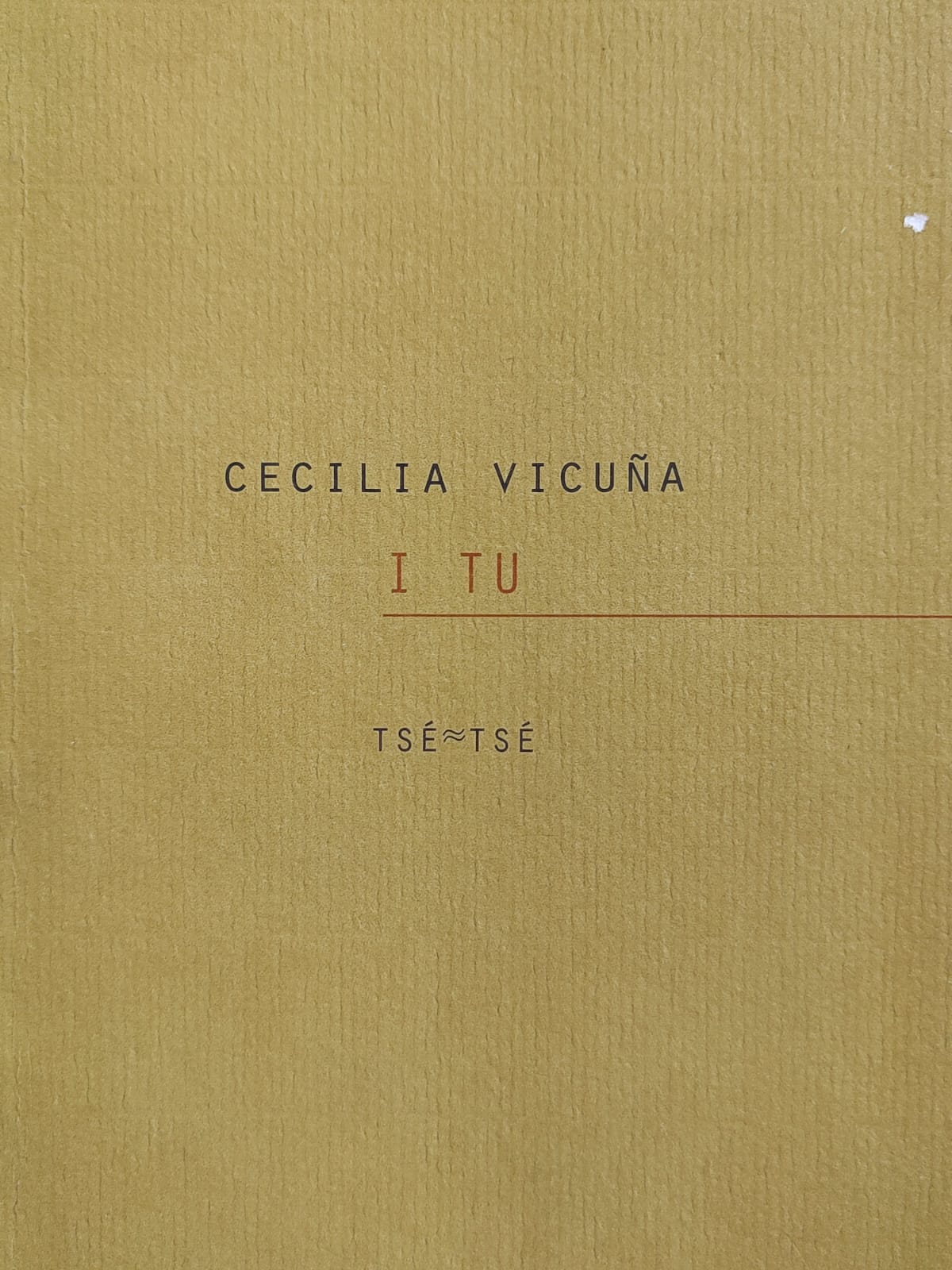 Cecilia Vicuña	i tu 