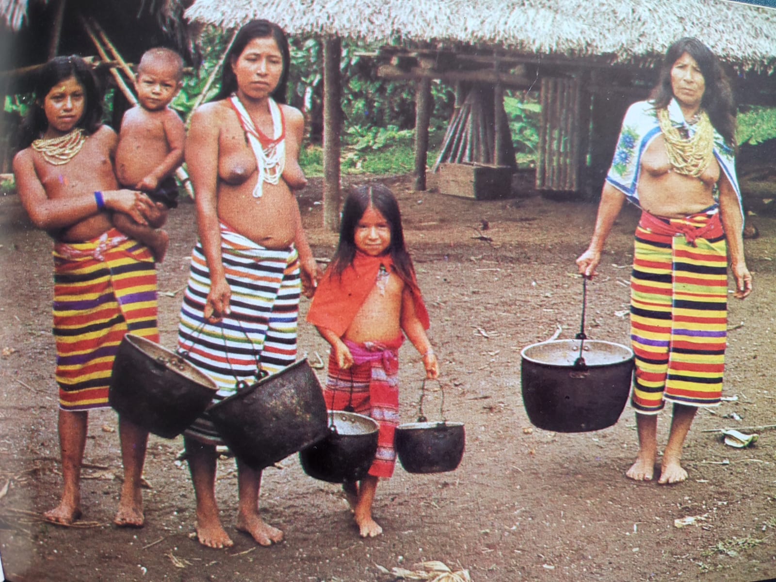 Erwin Patzelt	Hijos de la Selva Ecuatoriana 