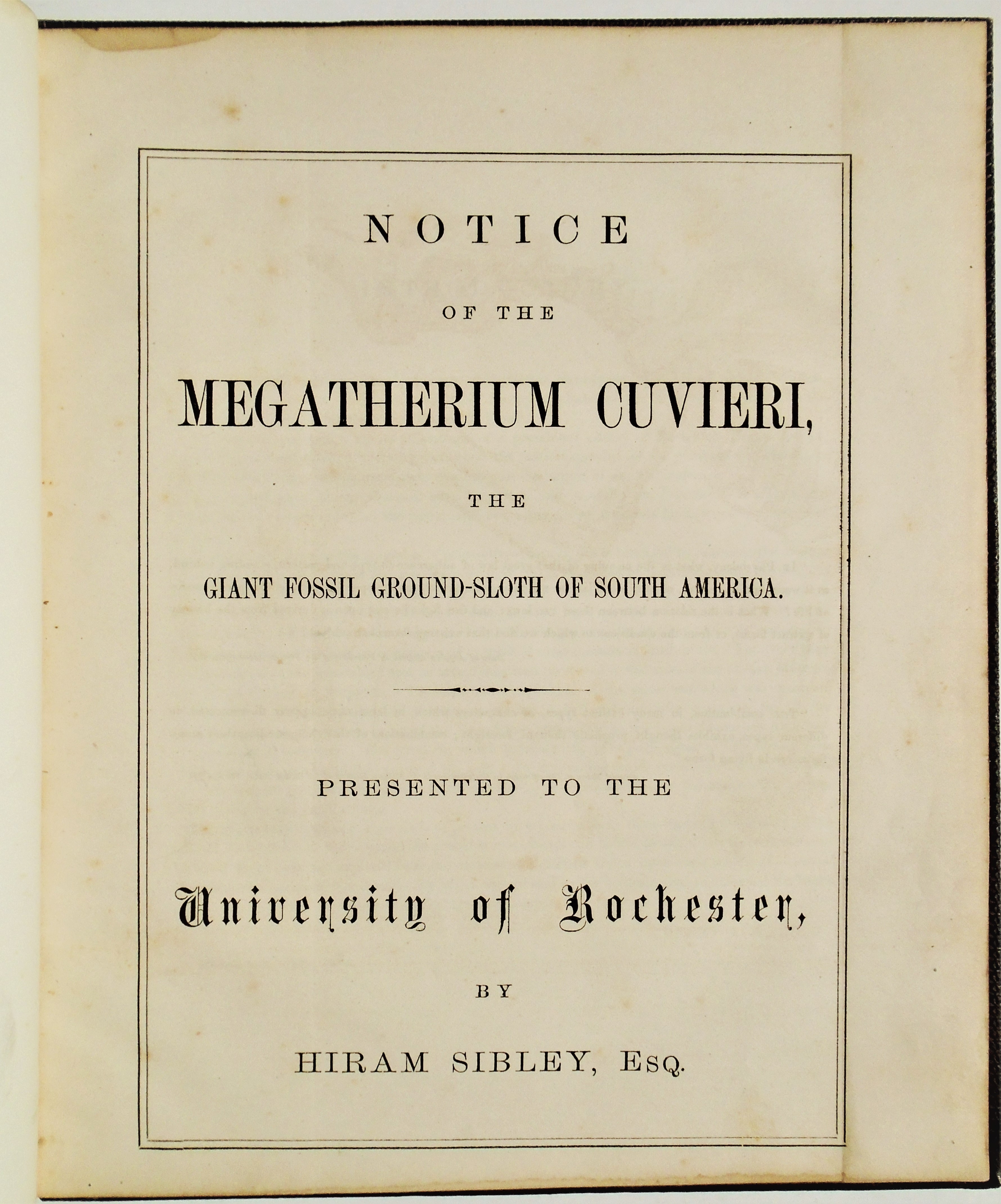 Henry A. Ward - Notice of the Megatherium Cuvieri