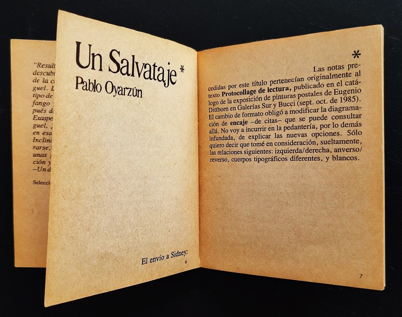 Eugenio Dittbornn	Envío de Eugenio Dittborn a la 5ta Bienal de Sydney: Un día entero de mi vida 