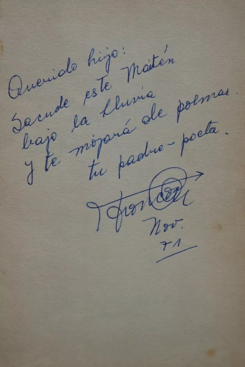 Eric Troncoso. Maitenes bajo la lluvia: poesia mapuche