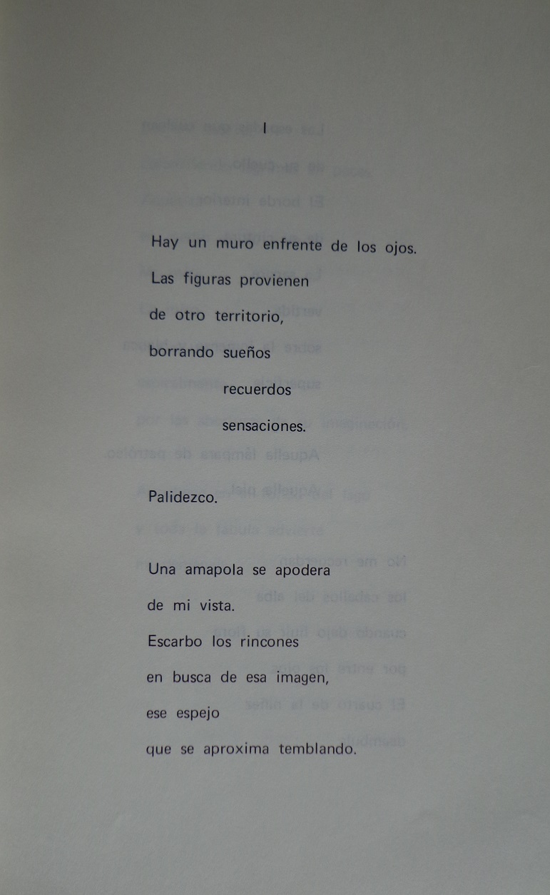 Hernan Meschi. Sobre un rio imaginario 