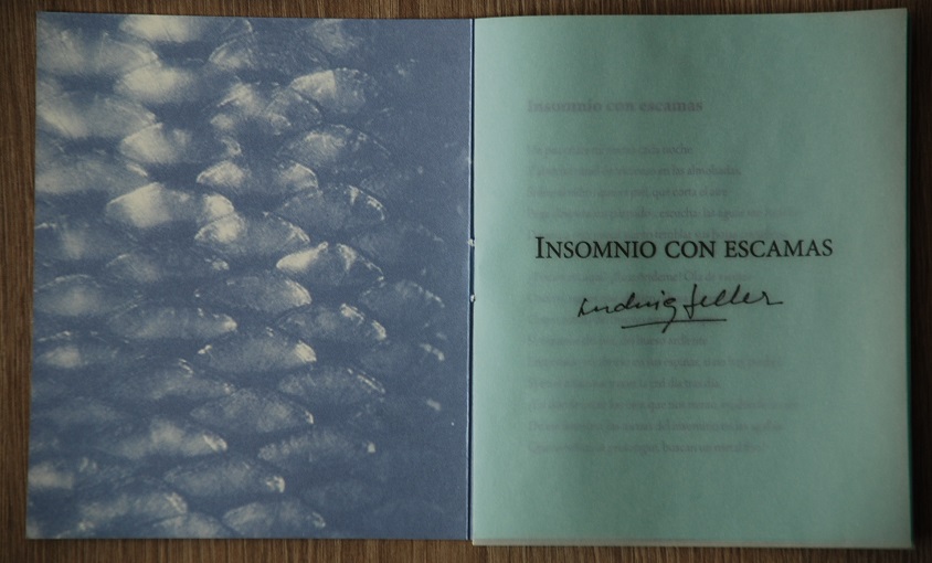 Ludwig Zeller - Insomnio con escamas