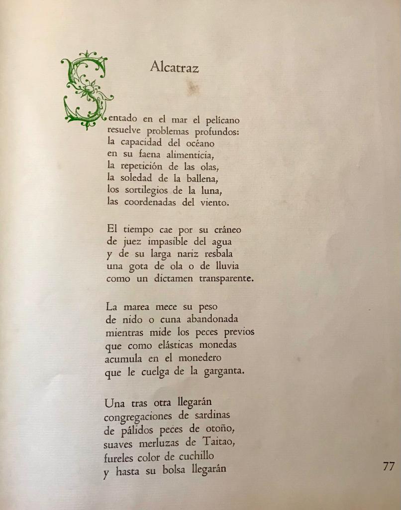 Pablo Neruda. Arte de pájaros 