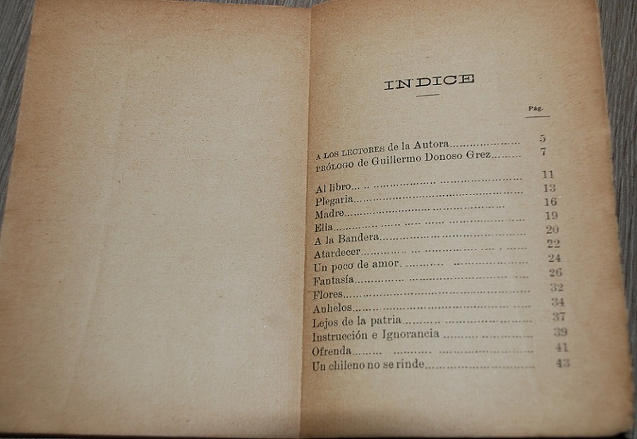 Raquel Jara Azocar - Poesías originales para la declamación