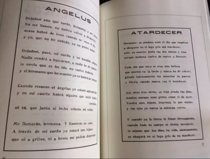 Manuel Rojas Poéticas Ideas Y Figuras 1921