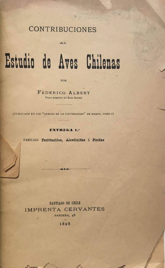 Federico Albert. Contribuciones al Estudio de Aves Chilenas. Publicado en los Anales de la Universidad,  de Marzo, Tomo C, Entrega 1:  Familia: Pacittacidae, Alcedinidae i Picidae.