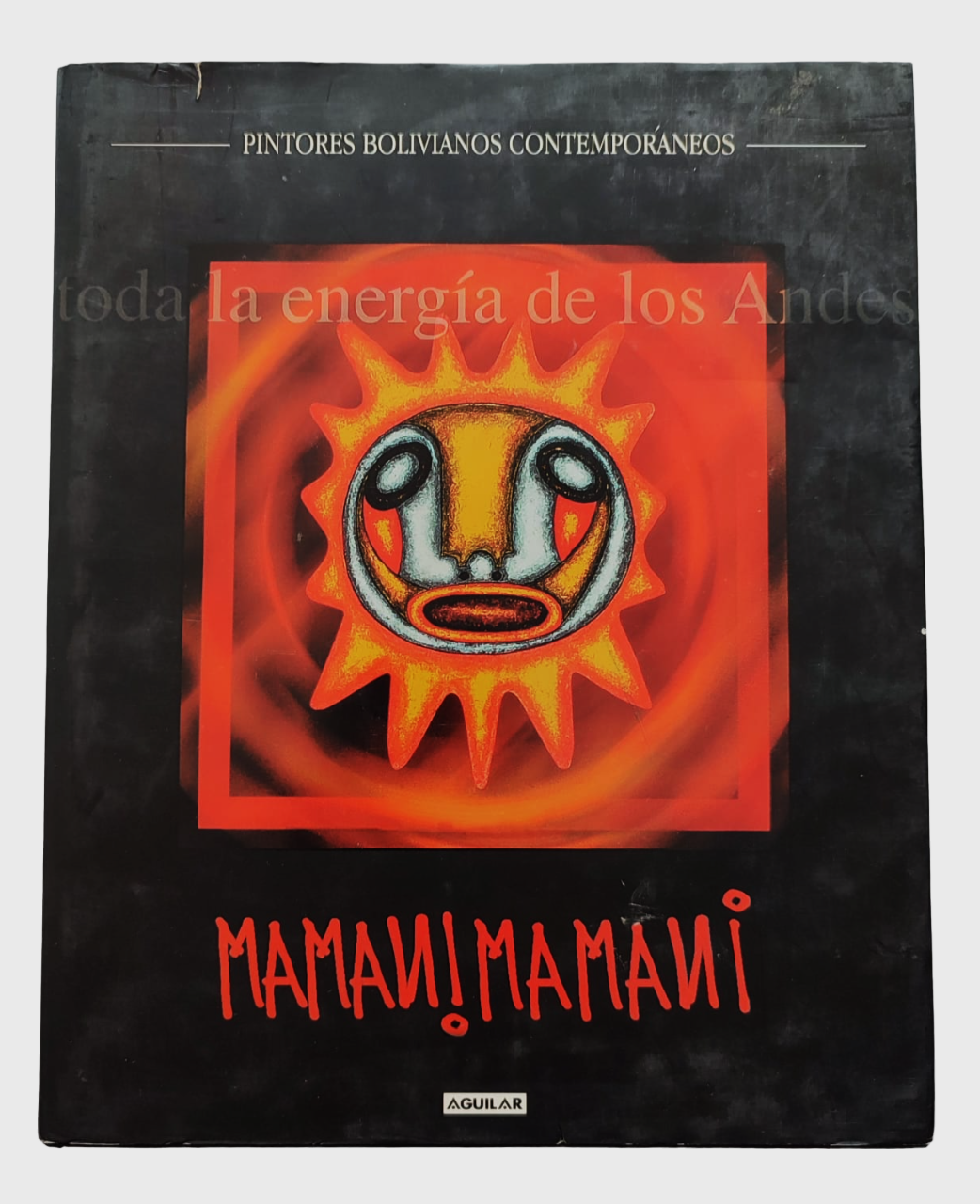 Roberto Mamani Mamani y Álvaro Cuéllar (ed.).	Mamani Mamani. Obra 1983-2005.  Toda la energía de los Andes. Pintores Bolivianos Contemporáneos