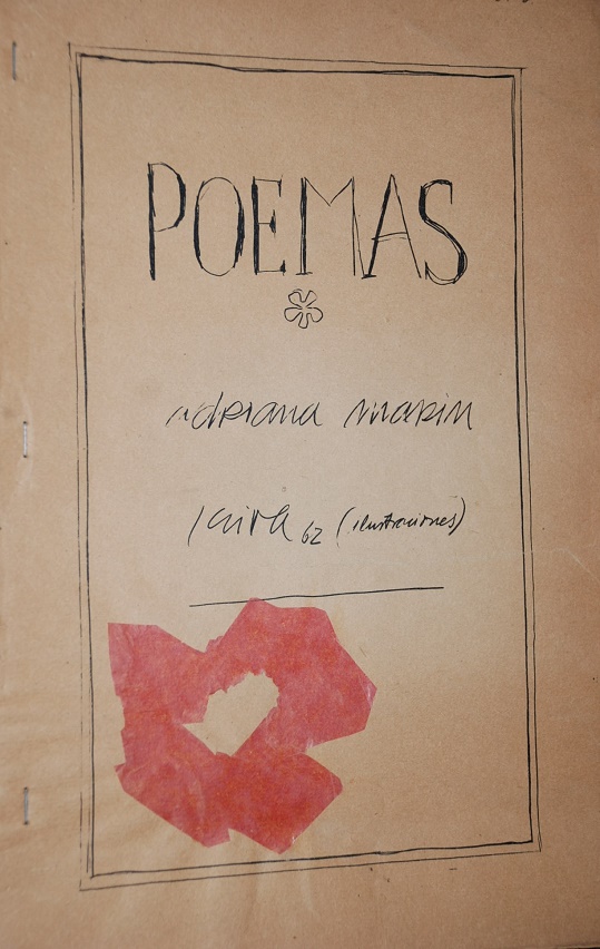 Adriana Marin - Poemas