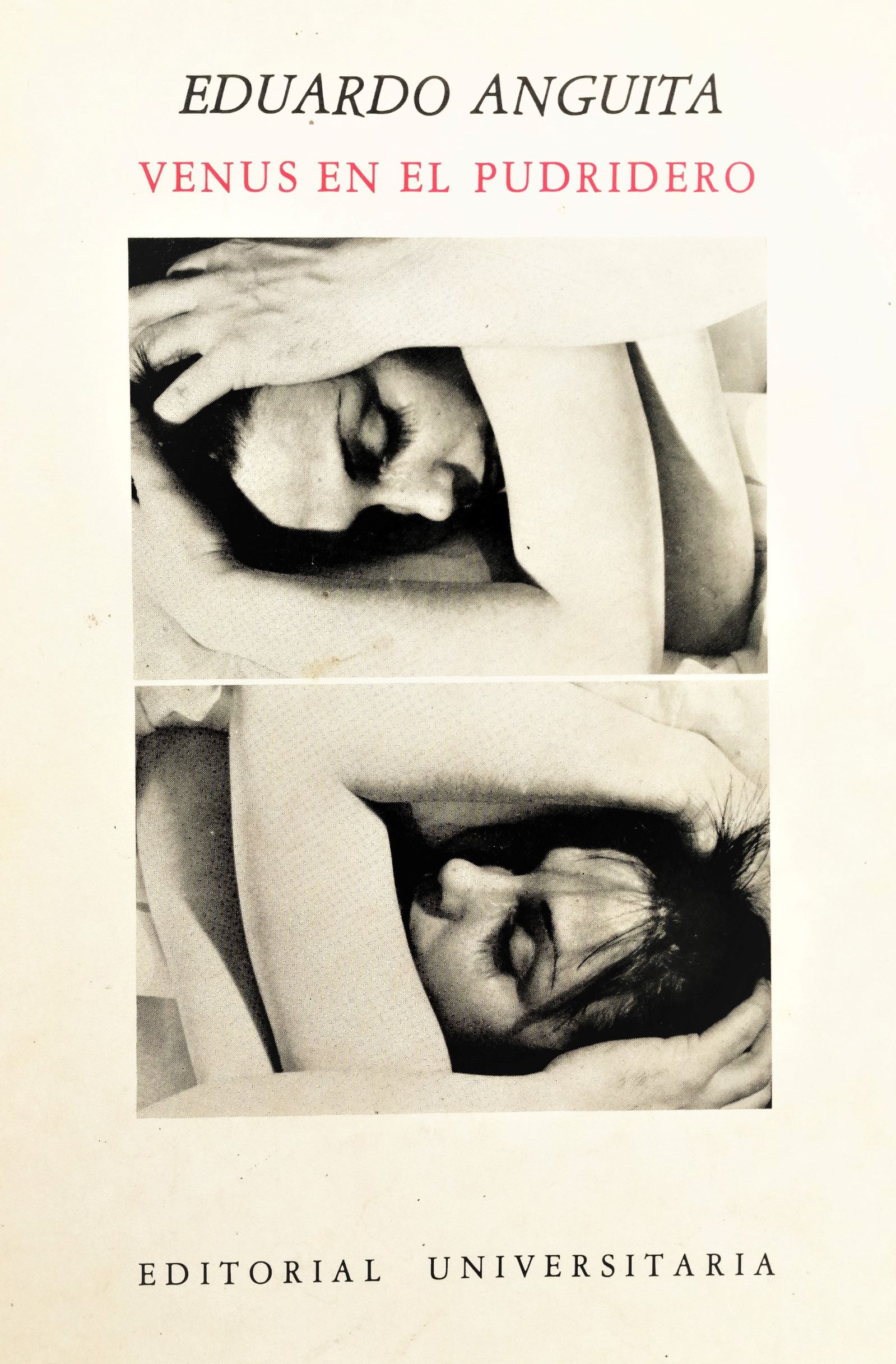 Eduardo Anguita - Venus en el pudridero
