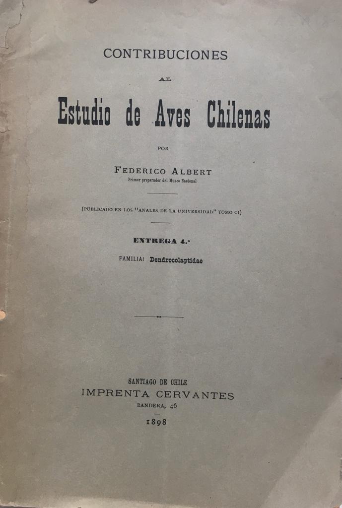 Federico  Albert. Contribuciones al Estudio de Aves Chilenas. Publicado en los Anales de la Universidad, Tomo CI, Entrega 4°: Familia: Dendrocolaptidae.