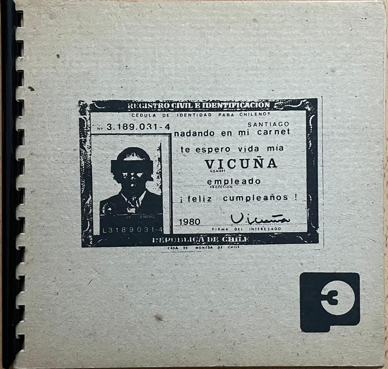 Juan Pablo Vicuña Langlois	Vicuña. Últimos objetos 