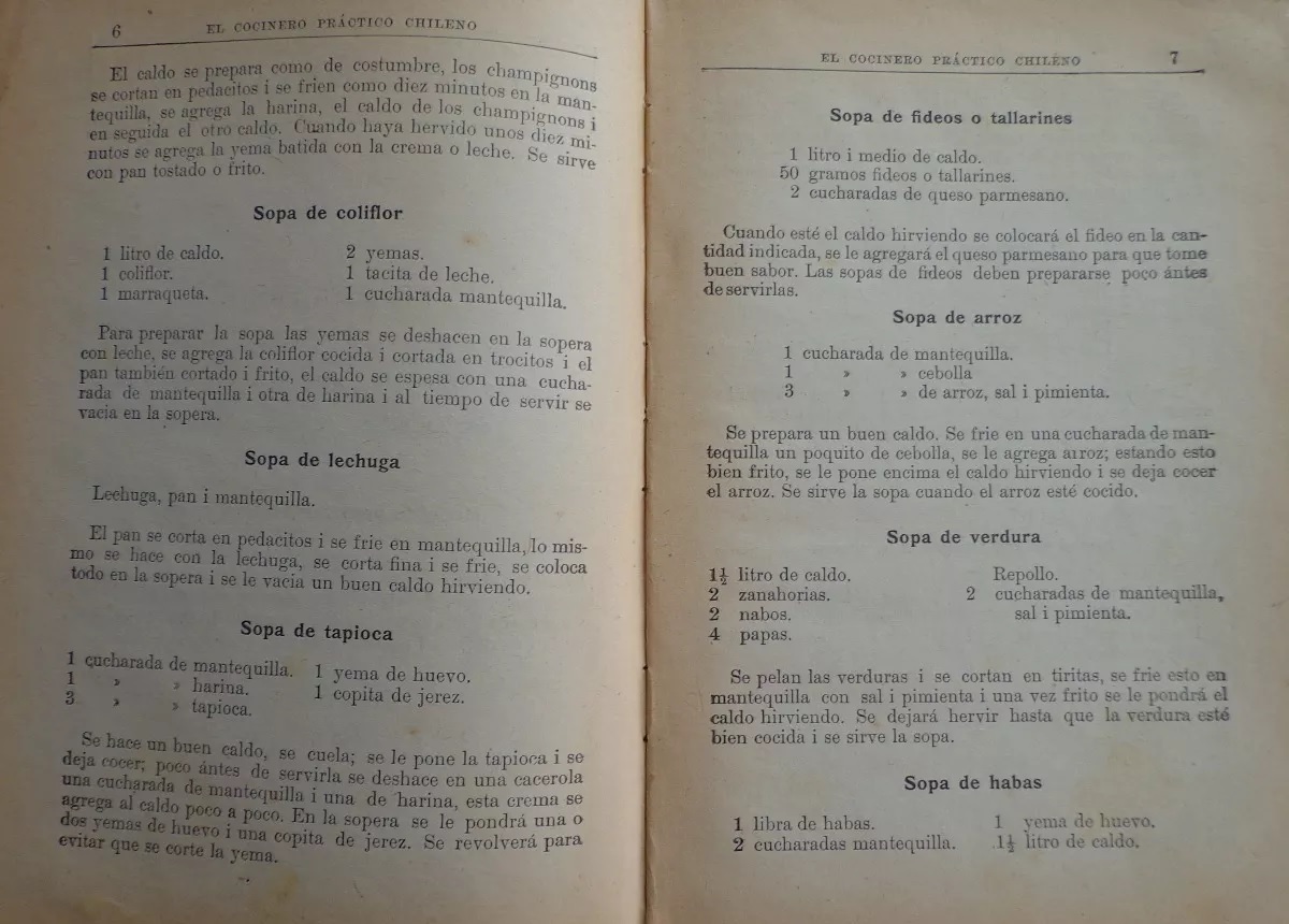 El Cocinero. Practico Chileno. Recetas escojidas de guisos que ningún gastronomo por exijente que sea dejará de gustar..