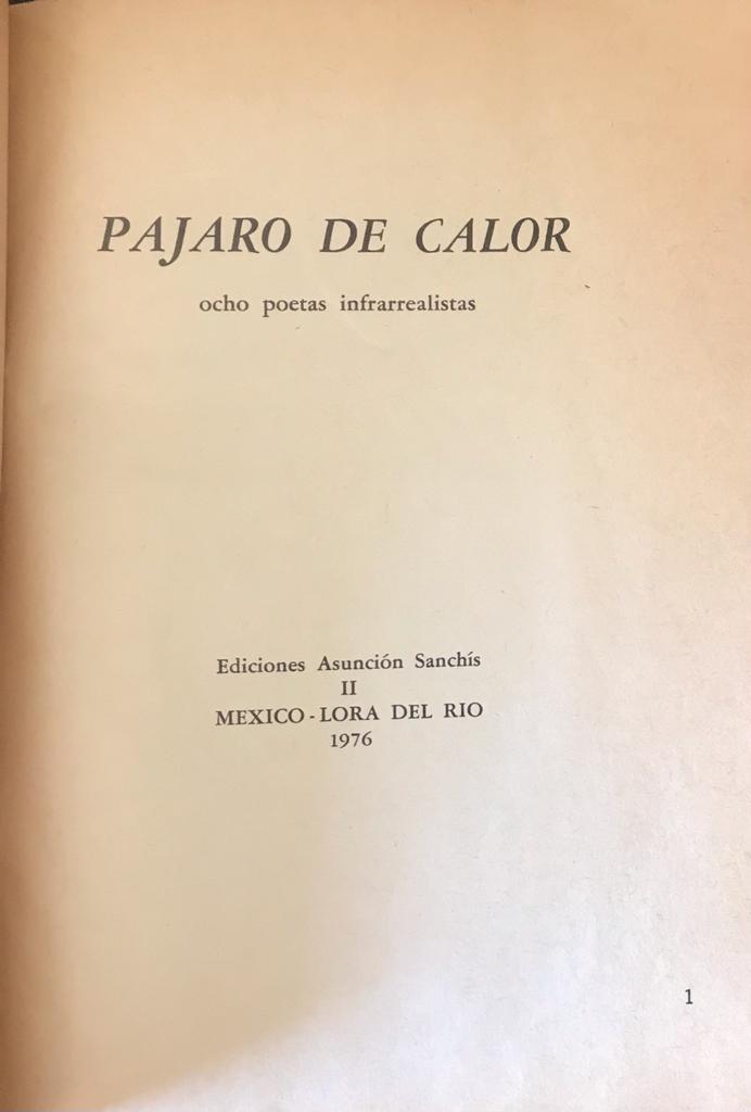 Pajaro de calor. Ocho poetas infrarrealistas