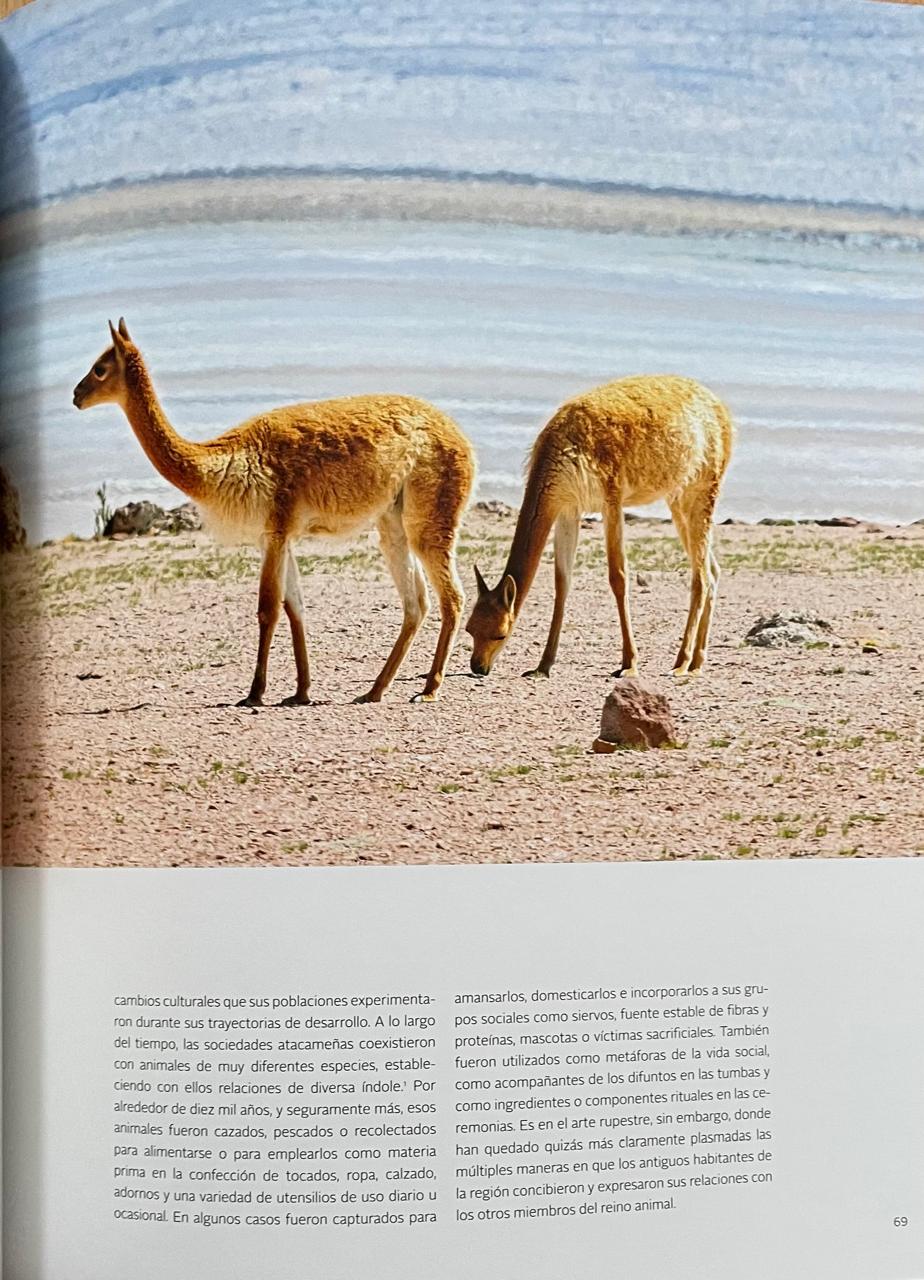 Carlos Aldunate del Solar (editor).	Fauna. Un recorrido por el endemismo de Chile