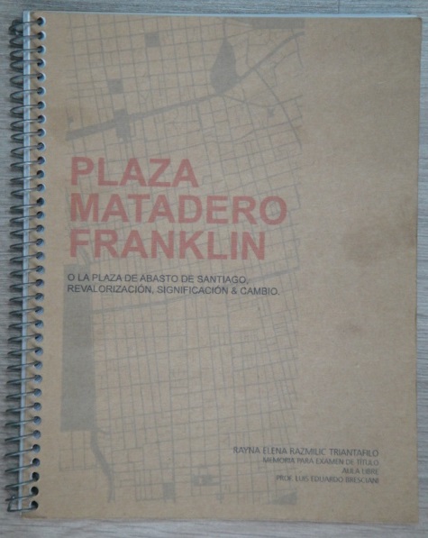 Rayna Elena Razmilic Triantafilo - Plaza Matadero Franklin o Plaza de Abasto de Santiago, Revalorización, Significación y cambio