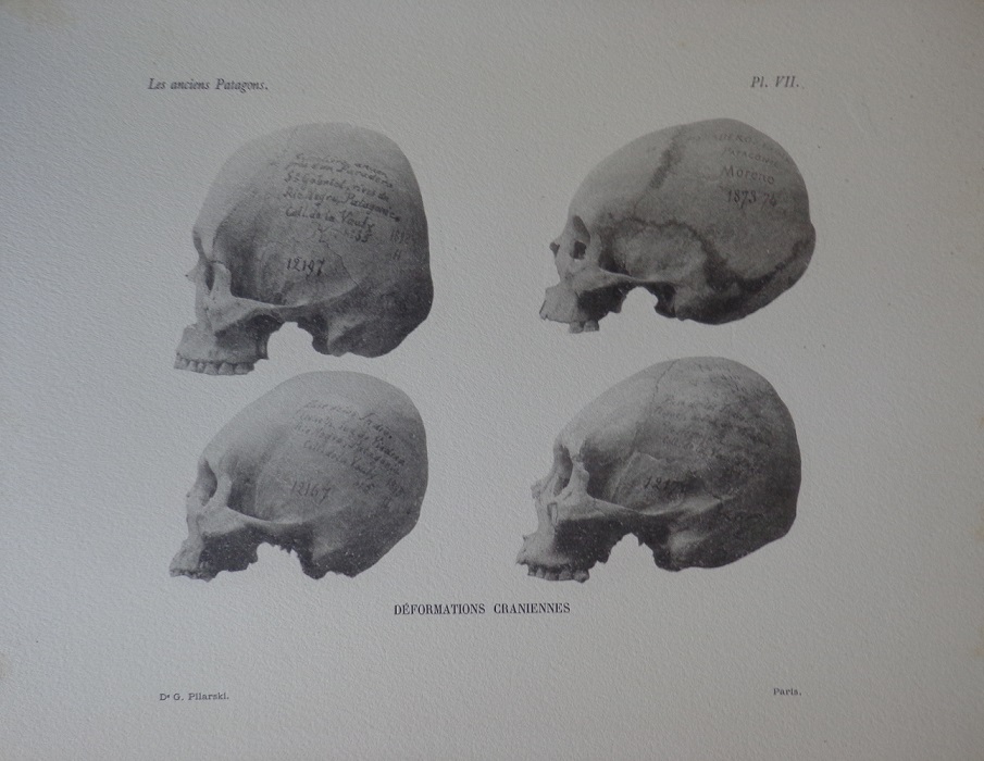 R. Verneau. Les anciens patagons : contribution a l’étude des races précolombiennes de l’Amérique du Sud. 