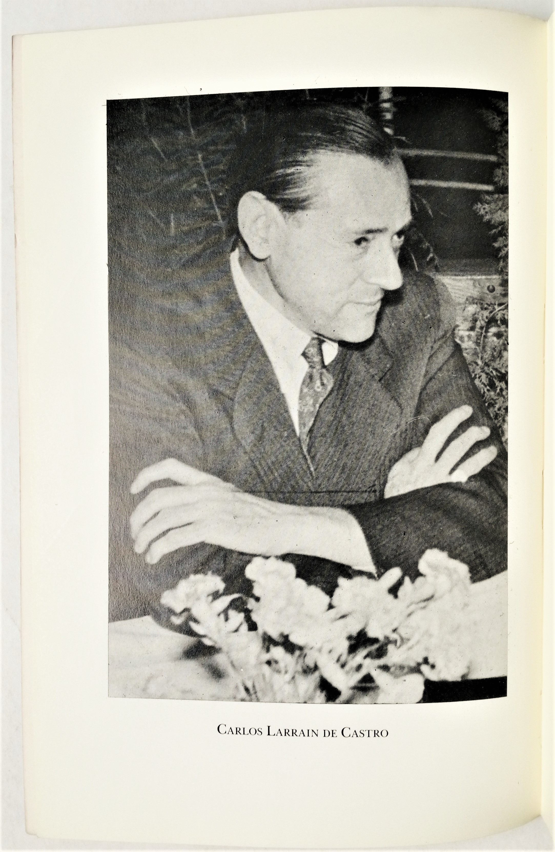 Carlos Larraín de Castro -  La Familia Larraín