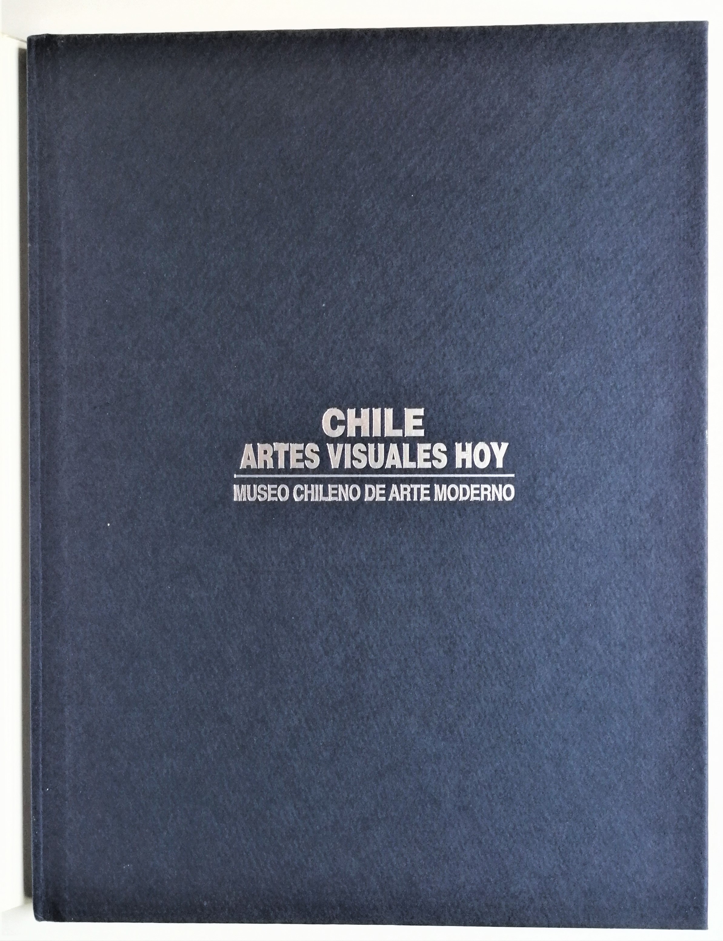 Chile Artes visuales hoy