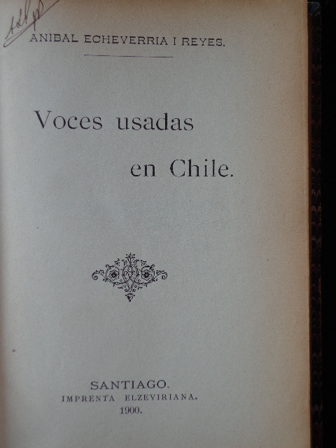 Aníbal Echeverría i Reyes - Voces usadas en Chile 