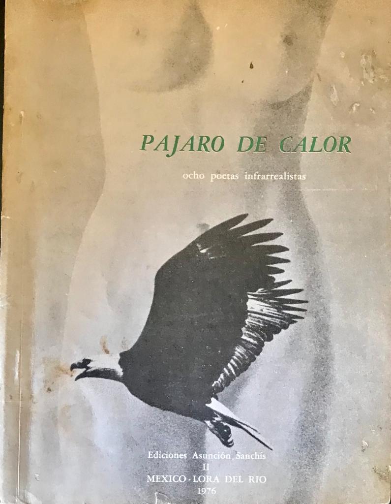 Pajaro de calor. Ocho poetas infrarrealistas