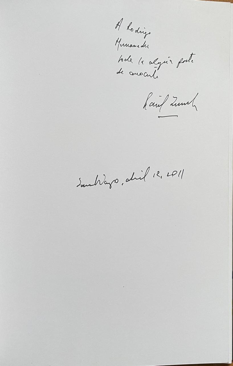 Raúl Zurita. Purgatorio