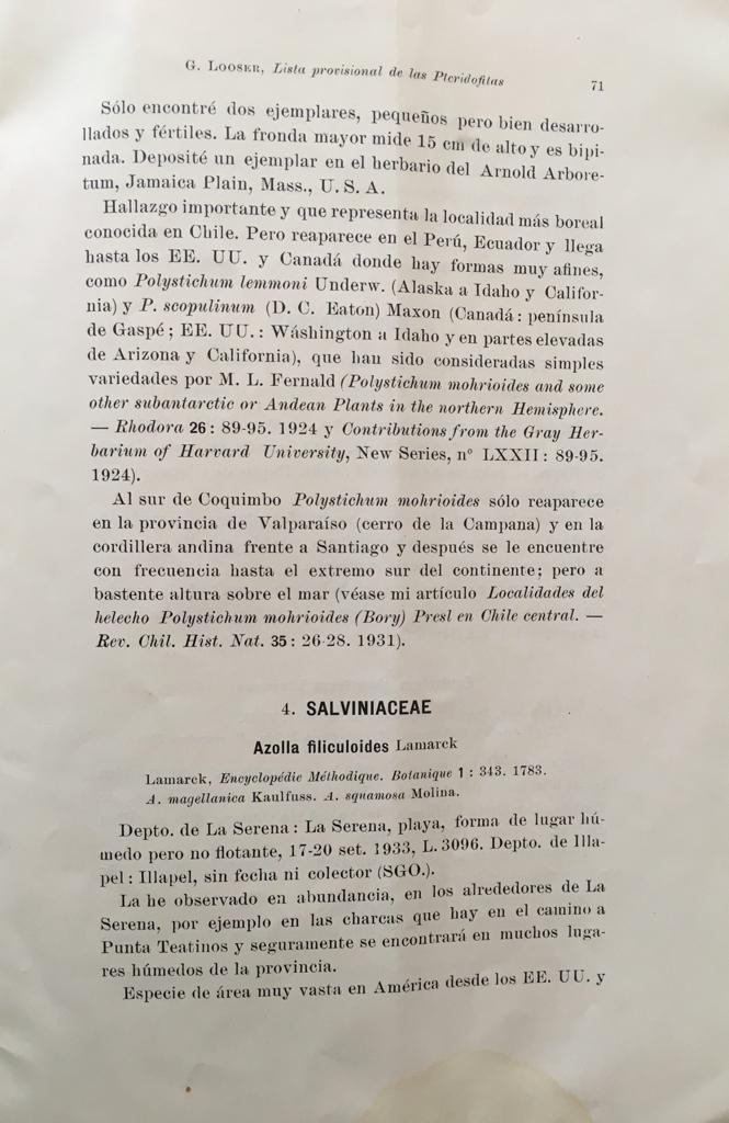 Gualterio Looser. Lista Provisional de las Pteridofitas (Helechos) de la provincia de Coquimbo, Chile.