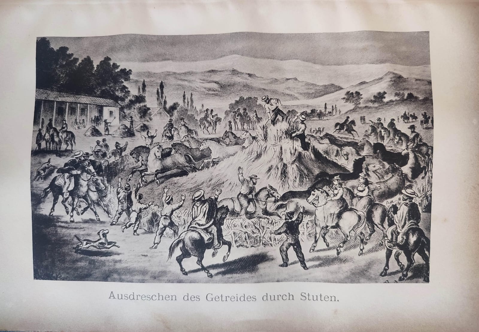 Paul Treutler. Quince años en América del Sur y la Costa del Océano Pacífico.  Fünfzehn Jahre in SüdAmerika an den Ufern des Stillen Oceans Gesehenes und erlebtes